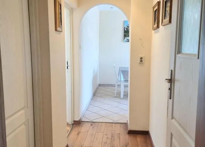 Rumiankowy Airport Hostel *